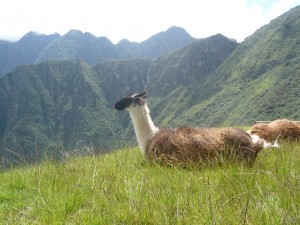 Machu Picchu Cusco Machu Picchu Cusco