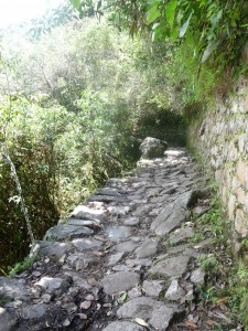 Machu Picchu treks treks to Machu Picchu