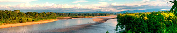 Amazon Tambopata Amazon Tambopata